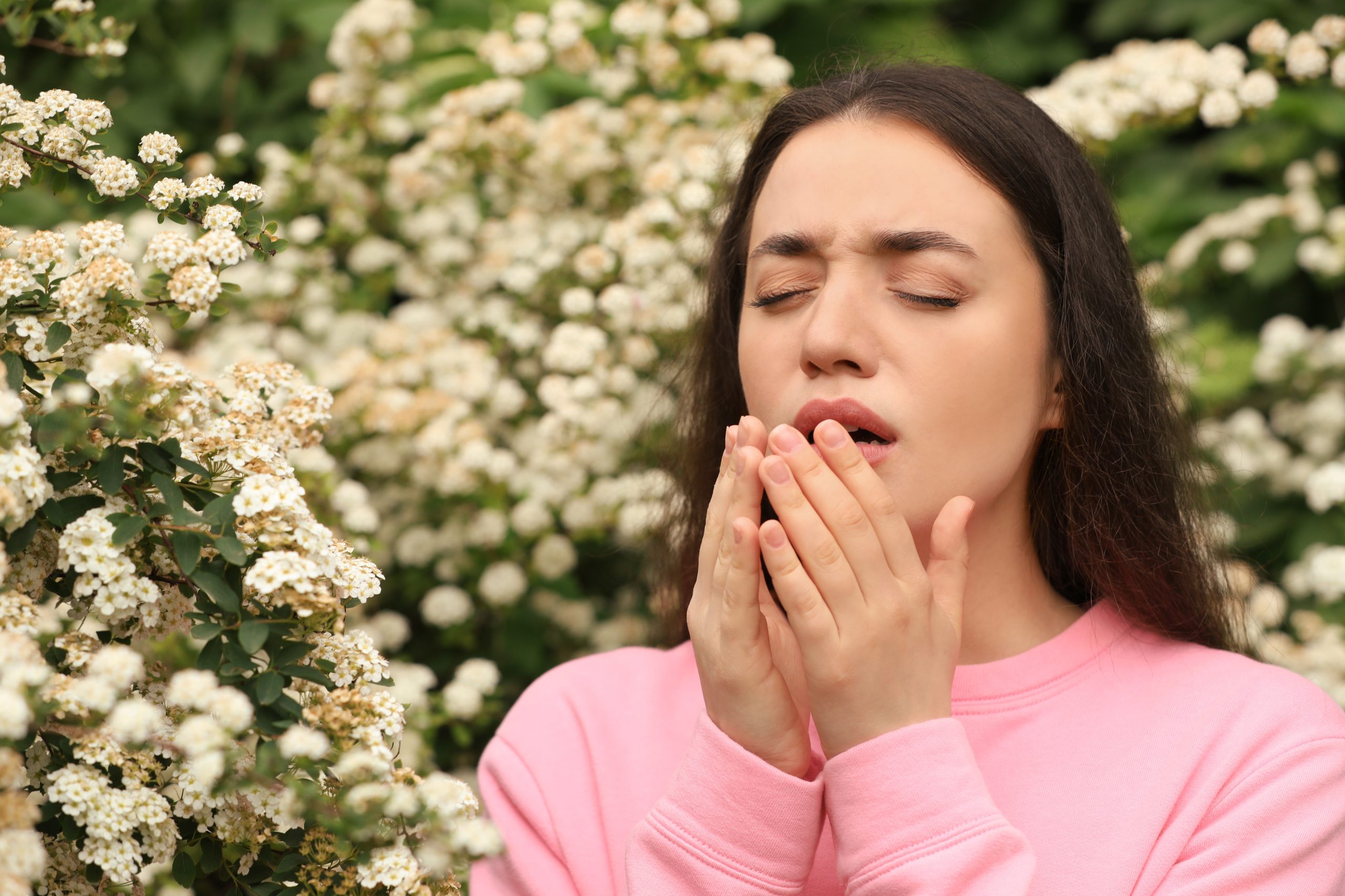 Surviving Spring Allergies